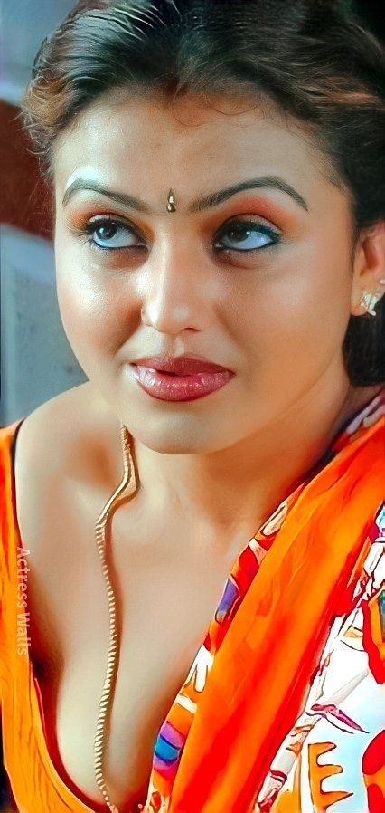 mallu aunty hot pics